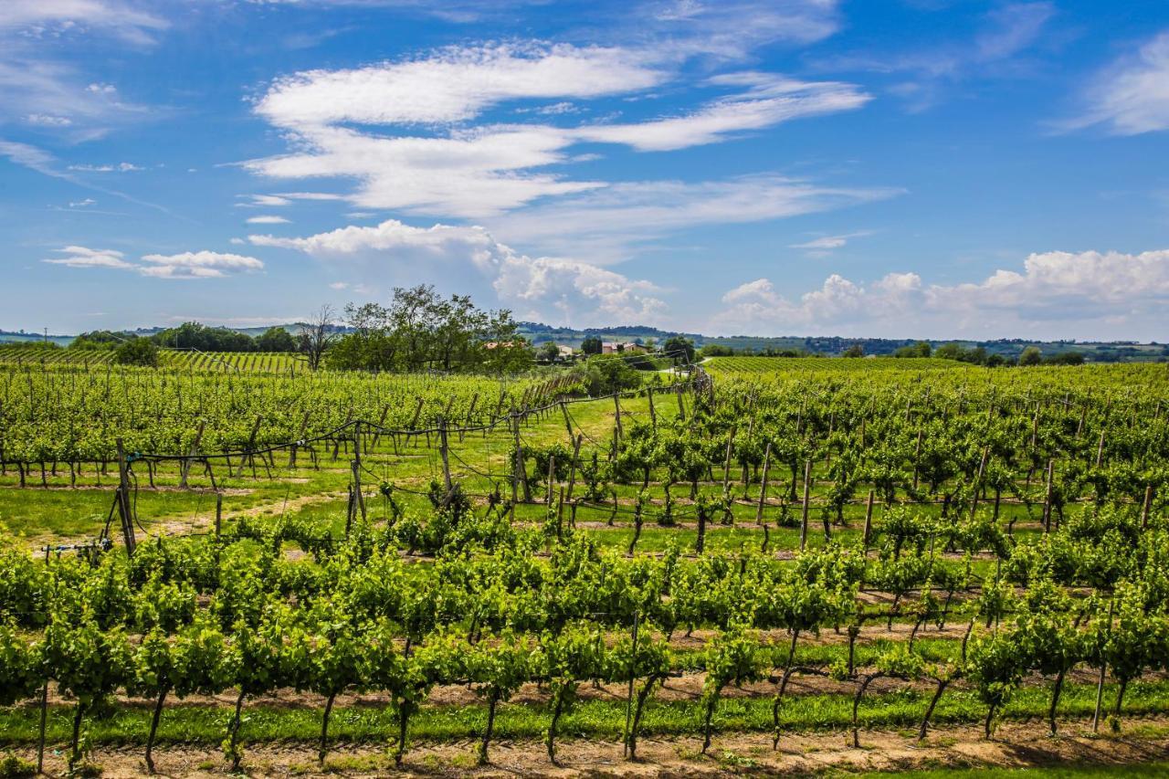 Agriturismo Trere 파엔차 외부 사진